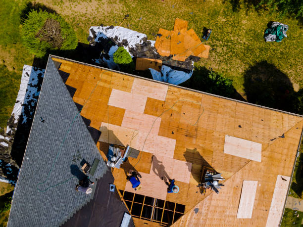 Best Shingle Roofing Installation  in Elk Mound, WI