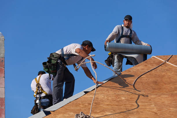 Best Emergency Roof Repair  in Elk Mound, WI