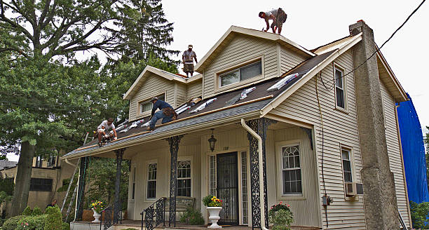 Best Tile Roofing Contractor  in Elk Mound, WI