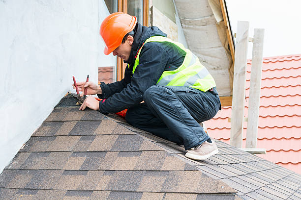 Best Roof Replacement Cost  in Elk Mound, WI