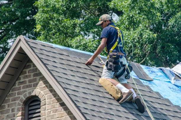 Best New Roof Installation  in Elk Mound, WI
